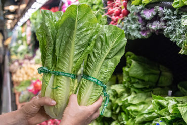 For RCC members who sell romaine lettuce: UPDATE – New temporary control measure for U.S. imports to begin October 7
